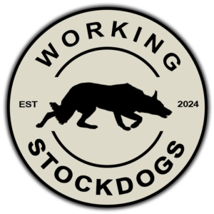 Working Stockdogs