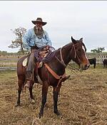 George-Clark-Photo.jpg